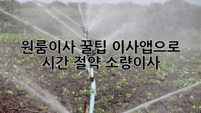 원룸이사 꿀팁🍯 이사앱으로 시간 절약! #소량이사